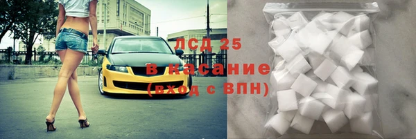 стаф Аркадак