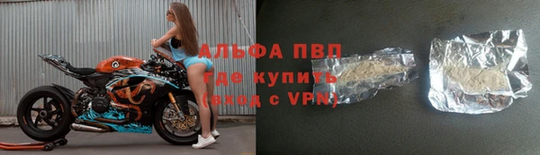 стаф Аркадак
