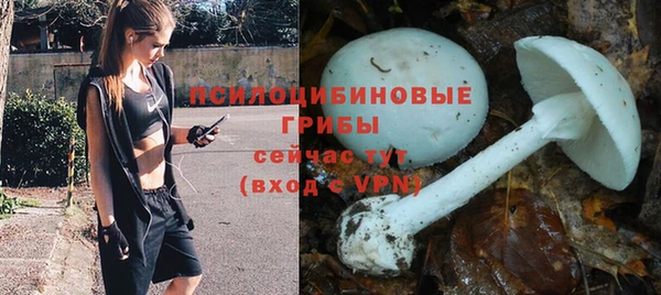 ALPHA PVP Армянск