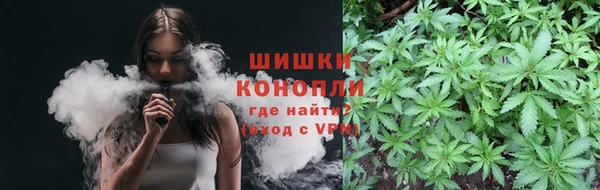стаф Аркадак